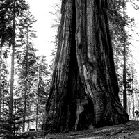 BW IMG_0023