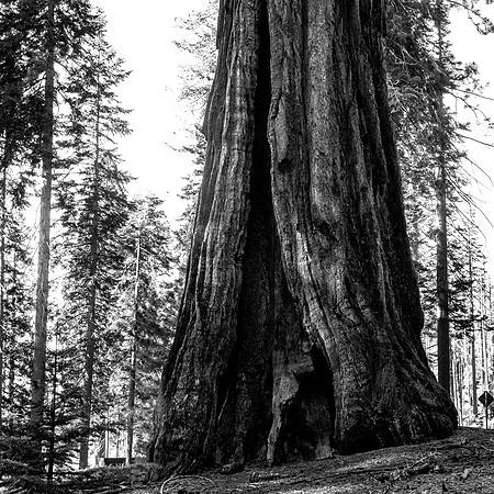 BW IMG_0023