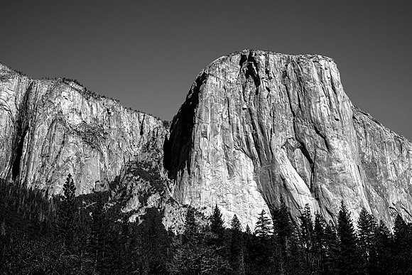 IMG_9764 BW