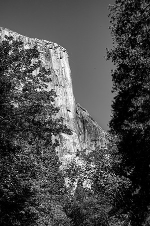 IMG_9936 BW