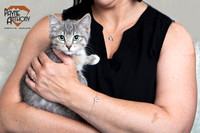 Kitten Jew