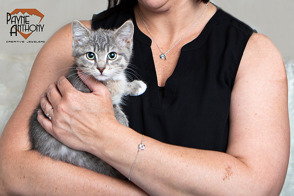 Kitten Jew