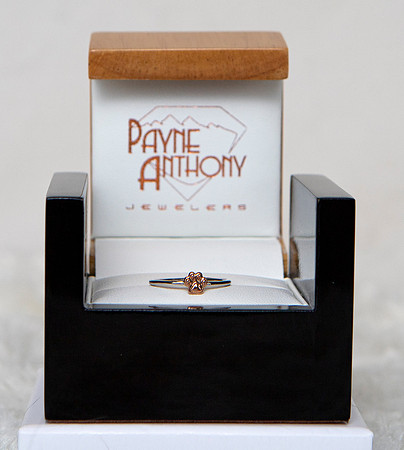 Ring 1 Pay