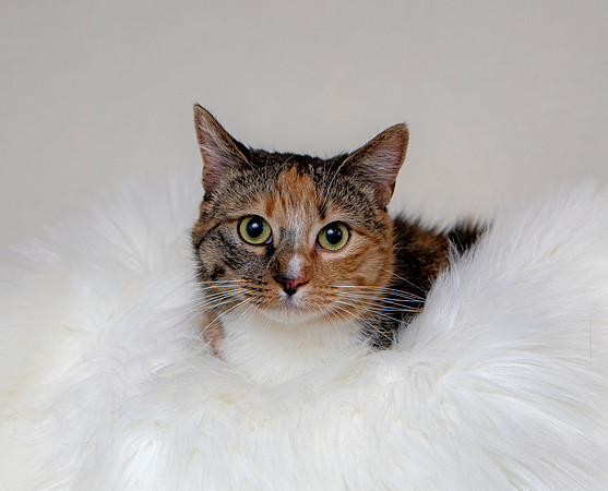 Milly 5 9 26