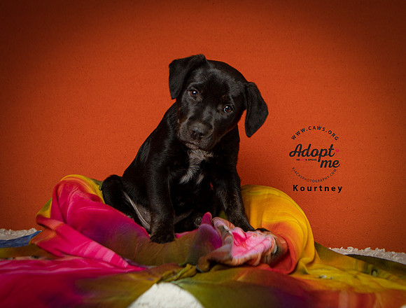 Kourtney 1 10 W