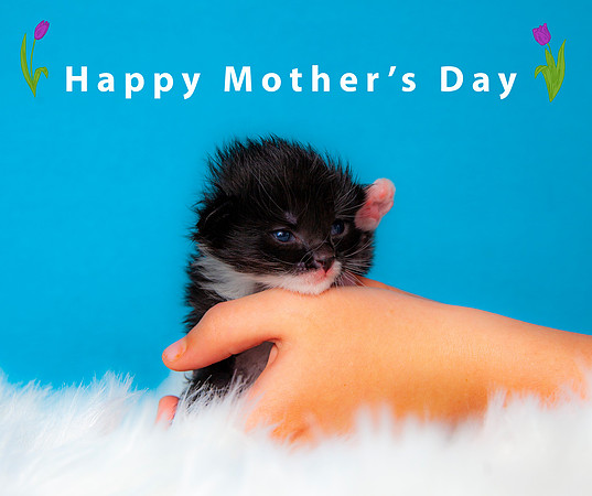 Mom's Day IG 2024