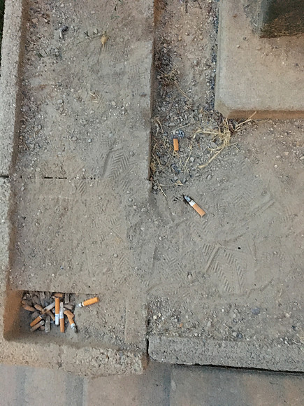 Cigarettes butts by stairs leading to building.