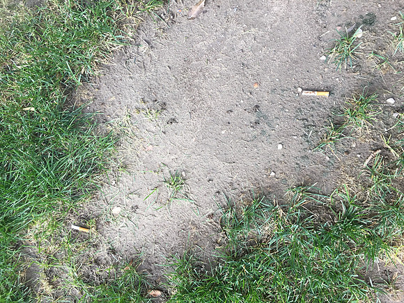Cigarettes butts outside my door.
