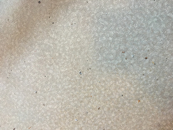 Ash on my landing.