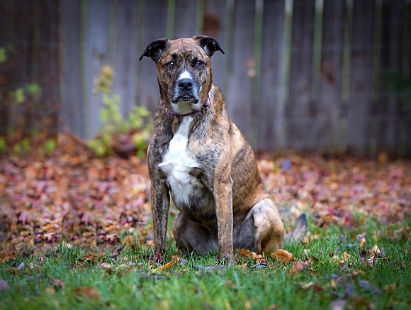 Izzy 10-21