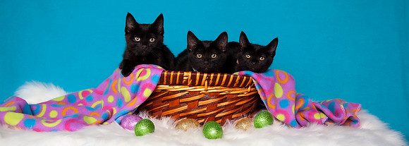 Easter 2024