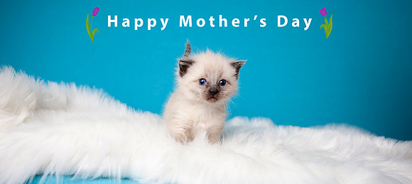 Mom's day 2024