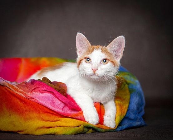 Wendy 8 24